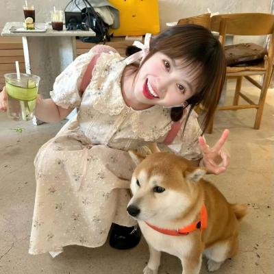 爱情手册2